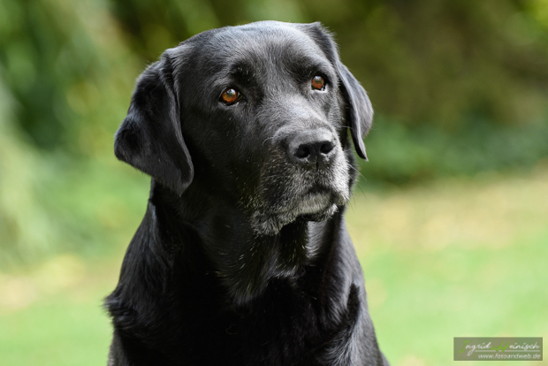 riley-portrait_01